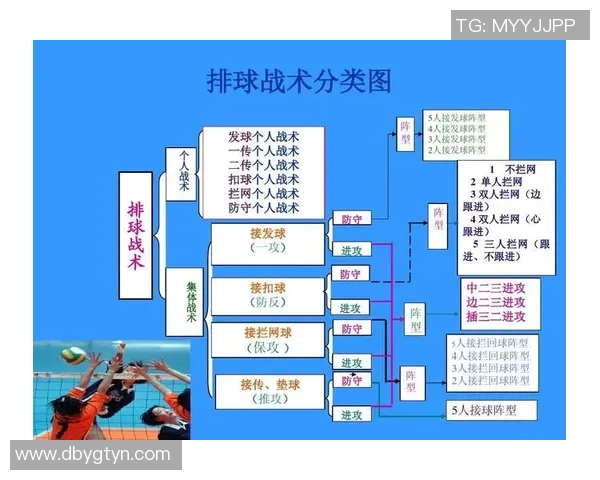杭州排球队中路突破表现分析与战术调整探讨